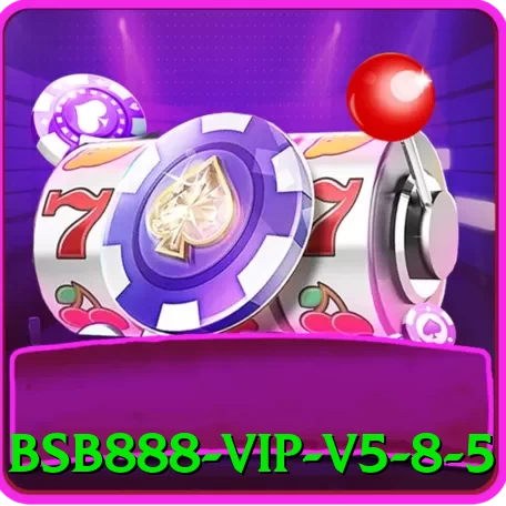 bsb888 VIP v5.8.5 - vip