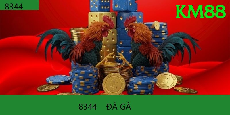 Đá Gà Trực Tiếp - km88 - Nhận code