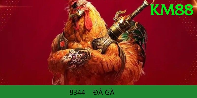 Đá Gà Trực Tiếp - Ưu đãi đặc biệt - Game Web3