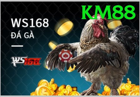 Đá Gà Trực Tiếp - Trải nghiệm tuyệt vời - Skin hiếm